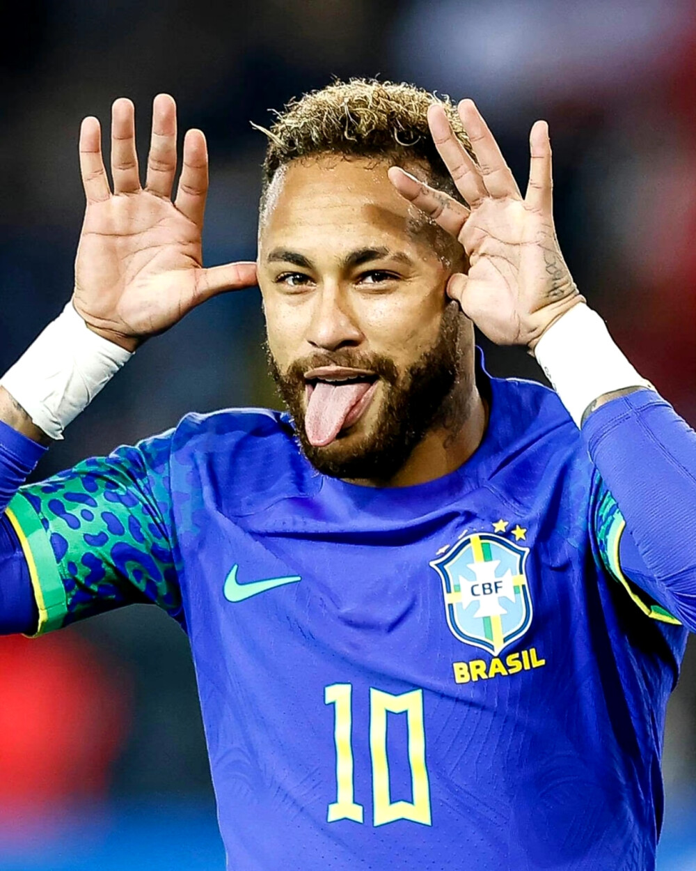 但不会是全 但不会是全