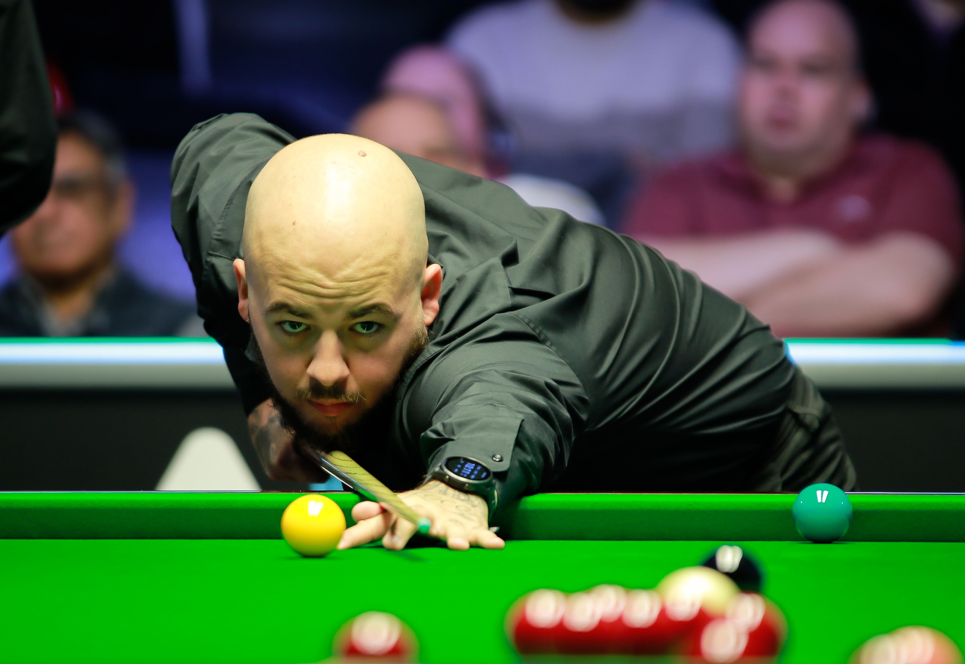 率领年轻的 率领年轻的